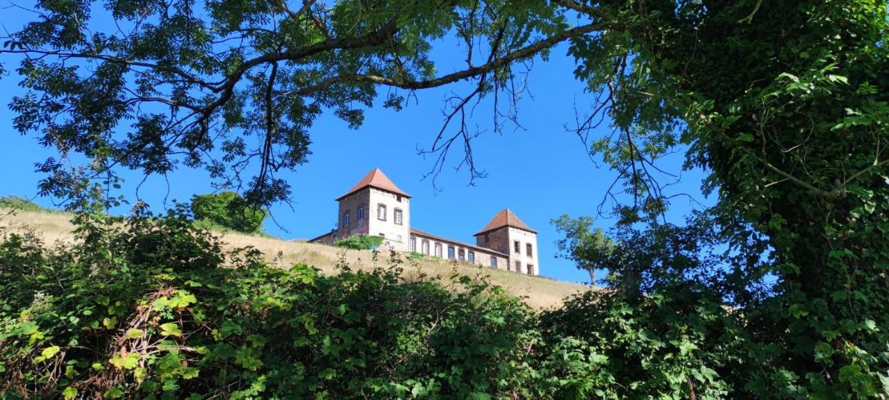 Château de Gorze Germolles-sur-Grosne Extérieur photo